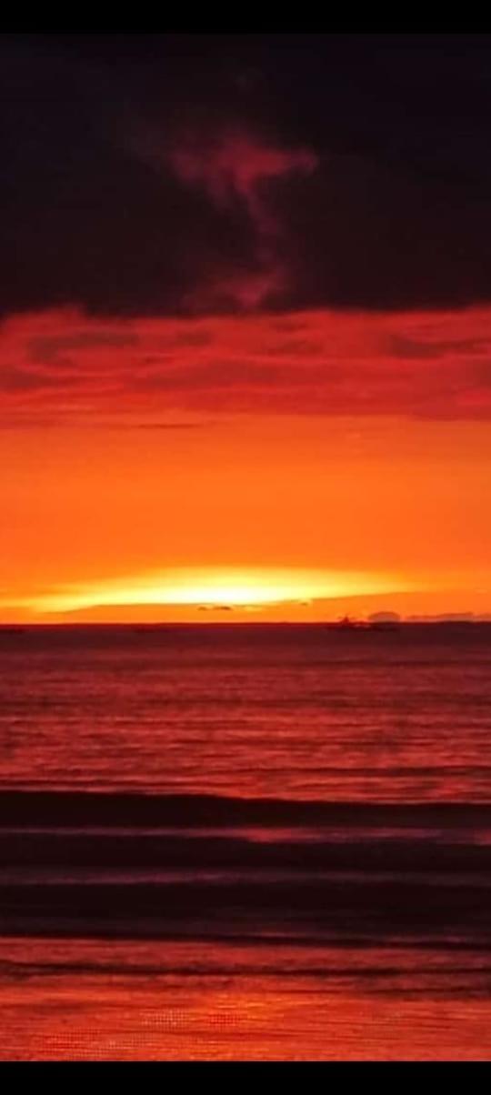 Los Paniquines Ecolodge Drake Bay Bagian luar foto