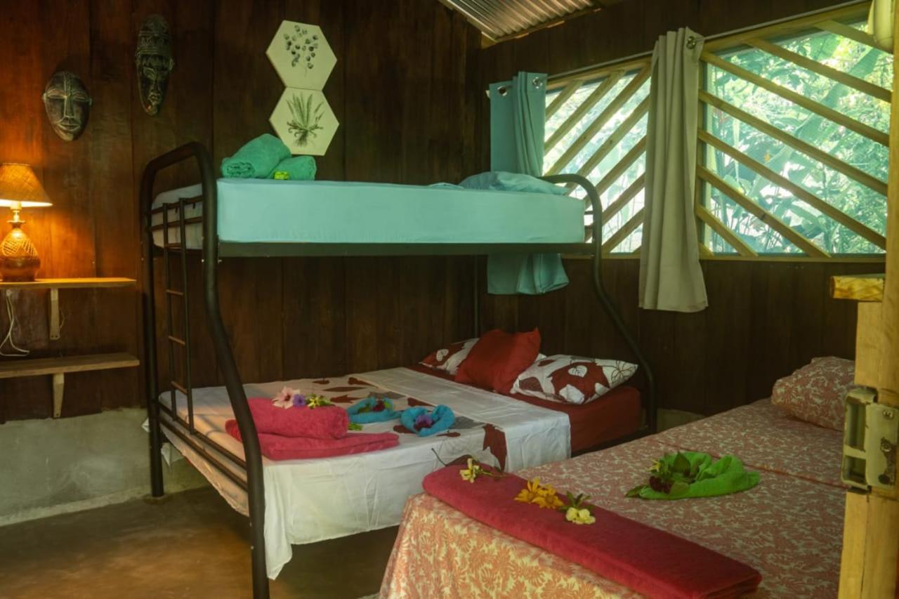 Los Paniquines Ecolodge Drake Bay Bagian luar foto