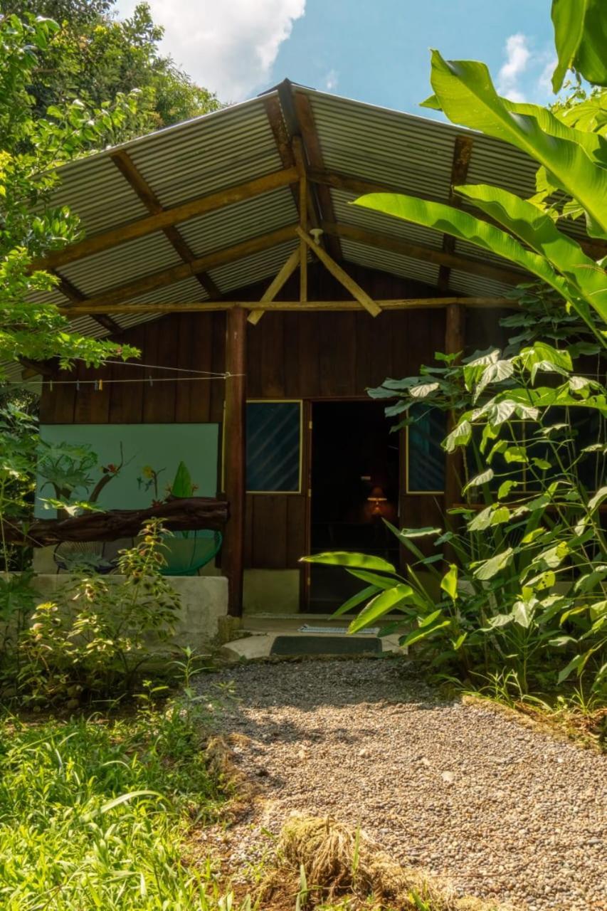 Los Paniquines Ecolodge Drake Bay Bagian luar foto