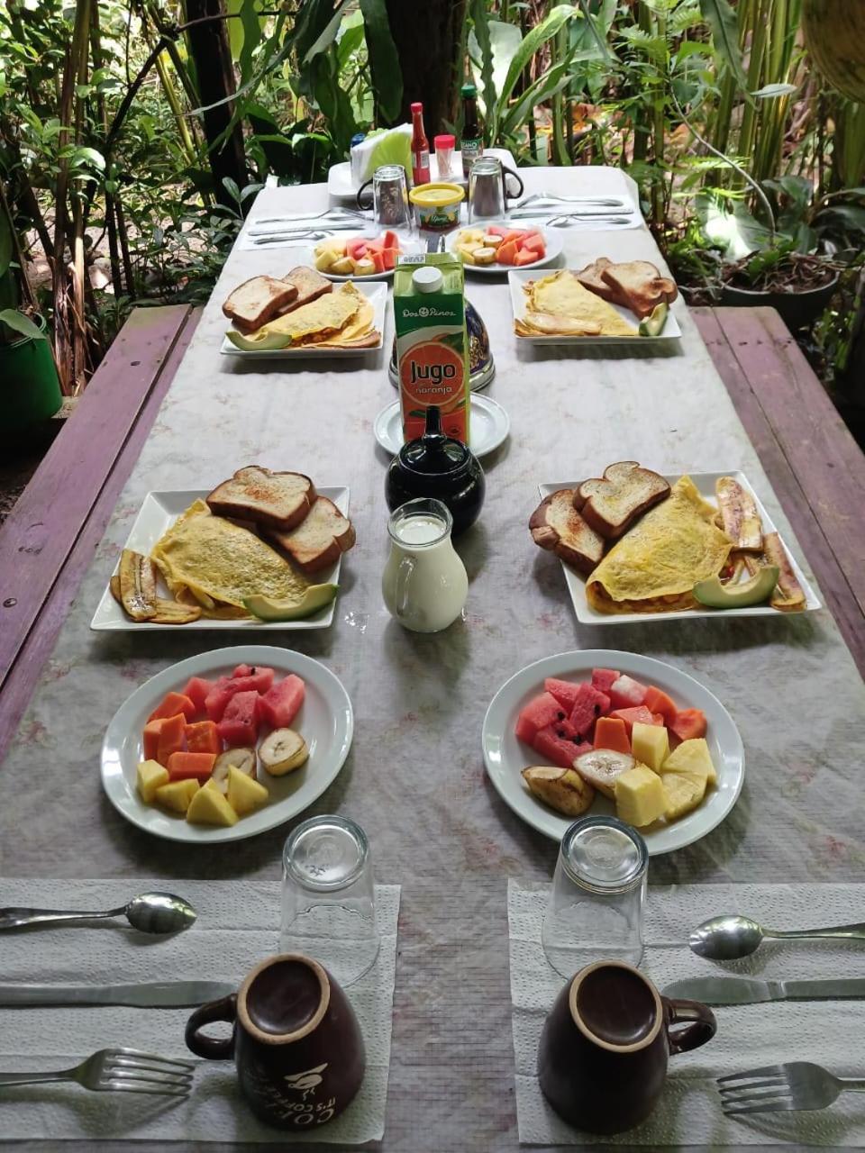 Los Paniquines Ecolodge Drake Bay Bagian luar foto