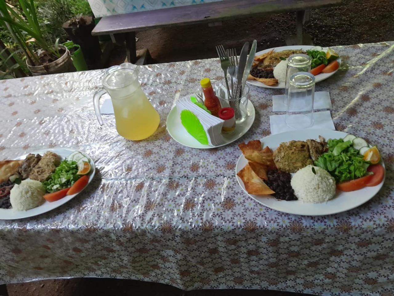 Los Paniquines Ecolodge Drake Bay Bagian luar foto