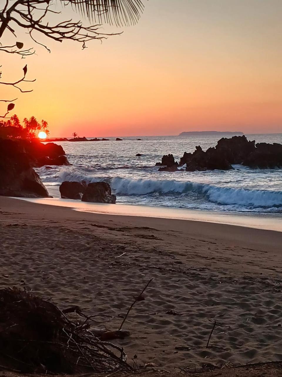Los Paniquines Ecolodge Drake Bay Bagian luar foto